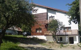 Casa Ambasadorului